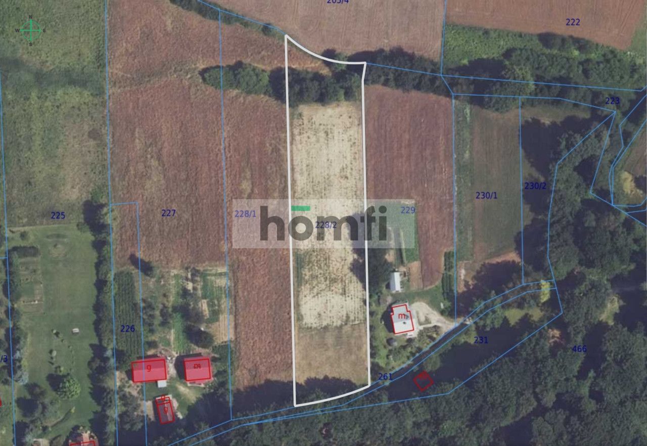 52,5 ara | budowlana | pod lasem | Przybysławice, gm. Skała - Działka - Sprzedaż - Krakowski, Skała / Przybysławice