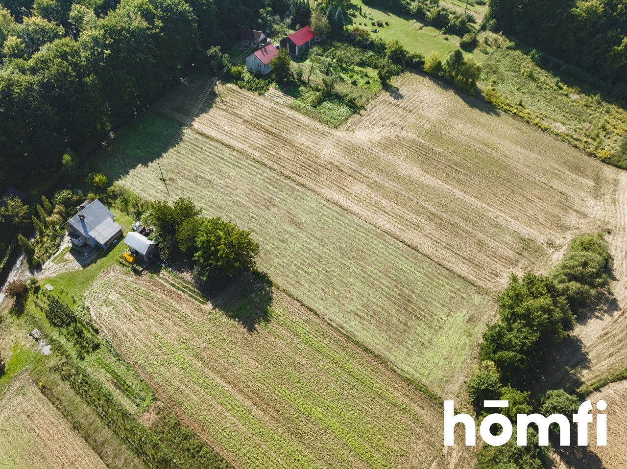 52,5 ara | budowlana | pod lasem | Przybysławice, gm. Skała - Działka - Sprzedaż - Krakowski, Skała / Przybysławice