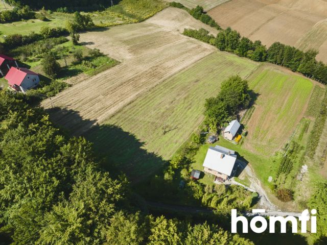 52,5 ara | budowlana | pod lasem | Przybysławice, gm. Skała - Działka - Sprzedaż - Krakowski, Skała / Przybysławice