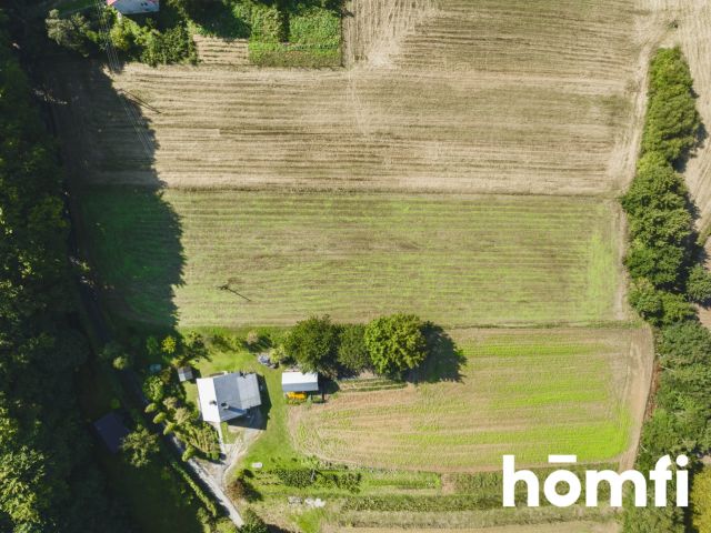 52,5 ara | budowlana | pod lasem | Przybysławice, gm. Skała - Działka - Sprzedaż - Krakowski, Skała / Przybysławice