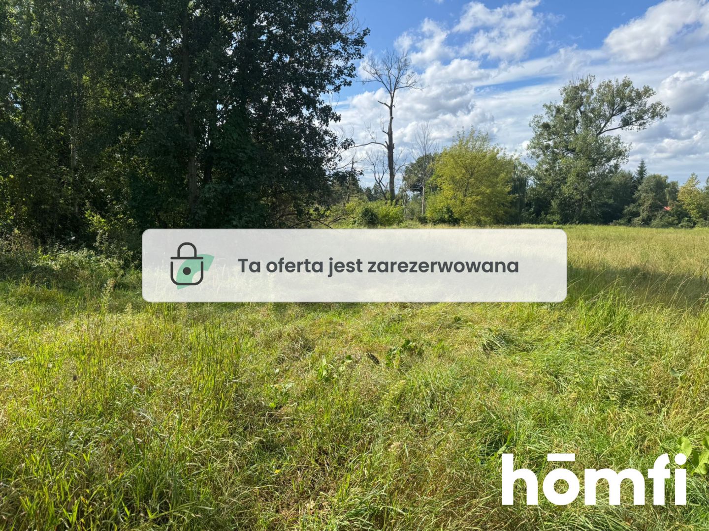 Large plot in a quiet area | PKP - Plot - Sale - Grodziski, Jaktorów
