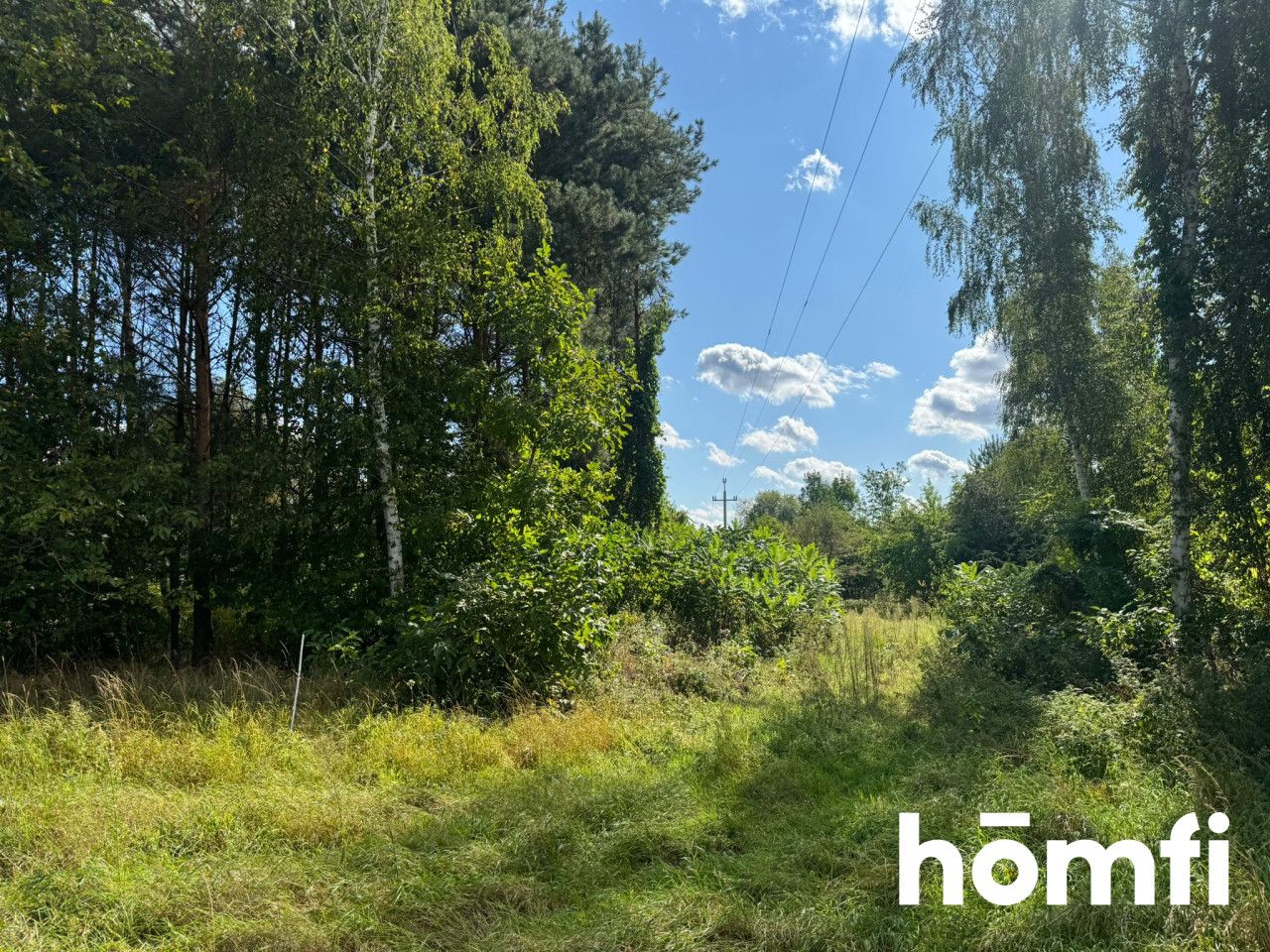 Large plot in a quiet area | PKP - Plot - Sale - Grodziski, Jaktorów