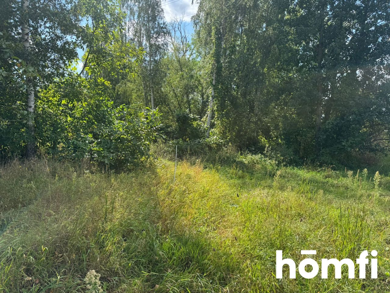 Large plot in a quiet area | PKP - Plot - Sale - Grodziski, Jaktorów