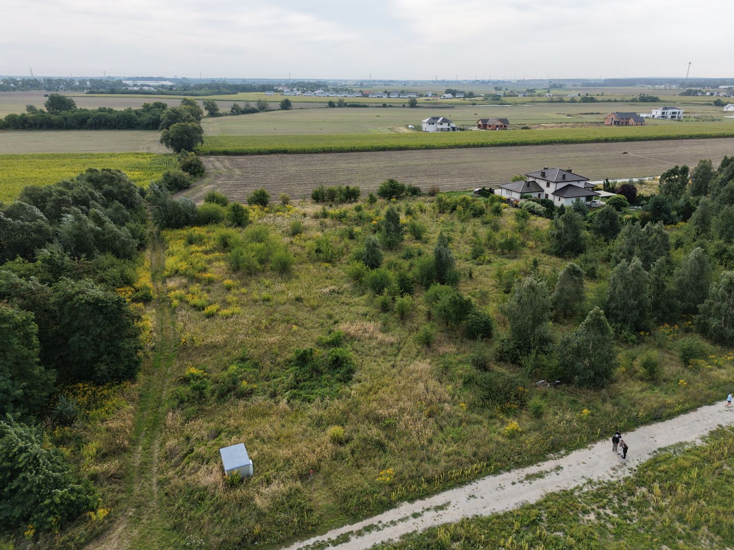 A large plot of land for single-family housing in Lusowo - Plot - Sale - Poznański, Tarnowo Podgórne / Lusowo