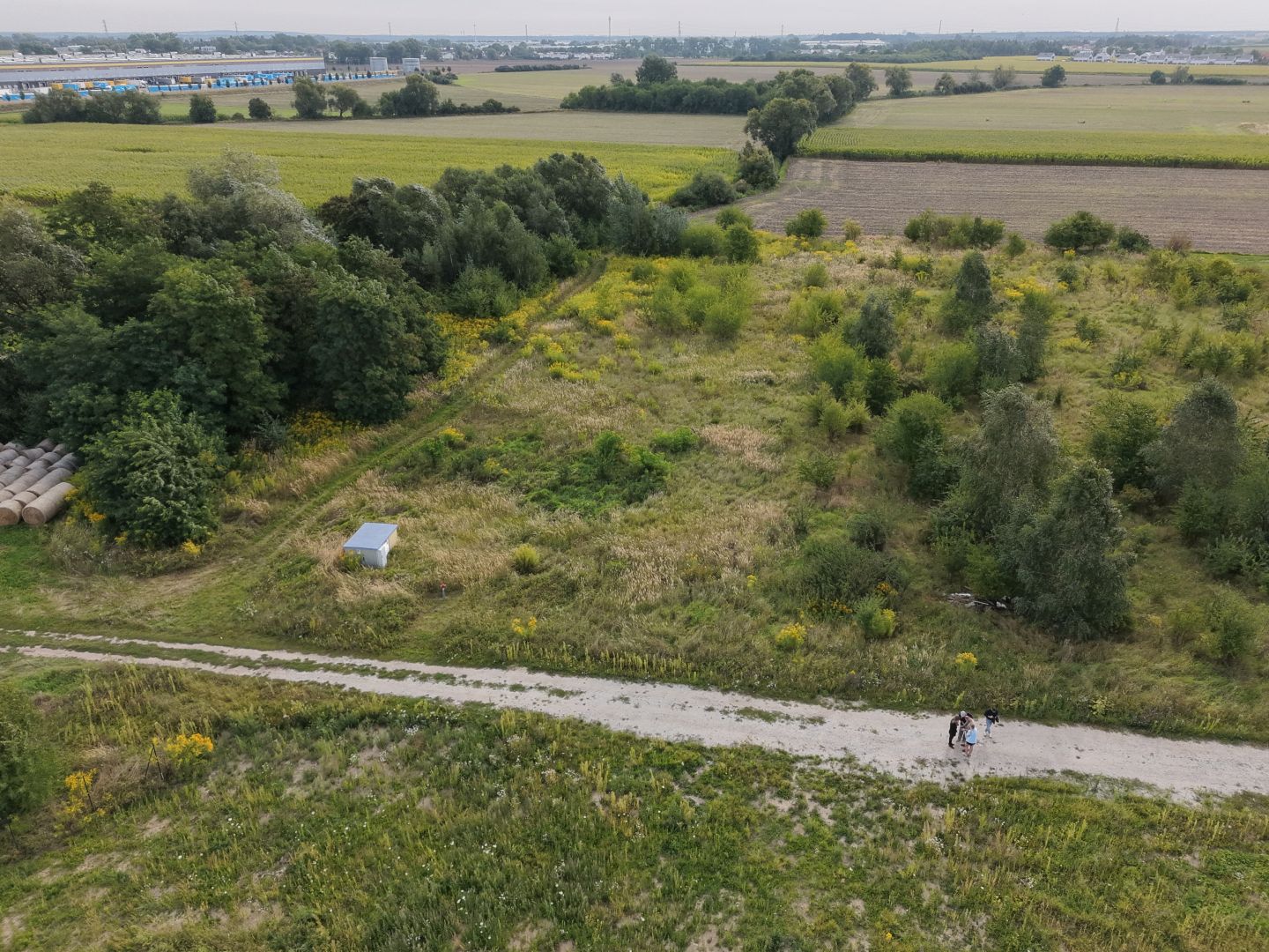 A large plot of land for single-family housing in Lusowo - Plot - Sale - Poznański, Tarnowo Podgórne / Lusowo