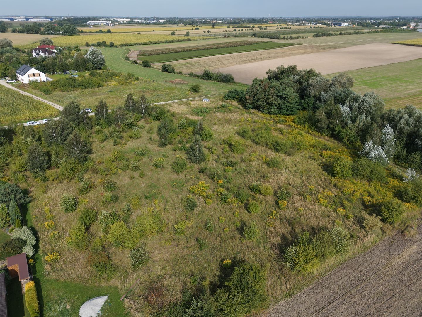 A large plot of land for single-family housing in Lusowo - Plot - Sale - Poznański, Tarnowo Podgórne / Lusowo