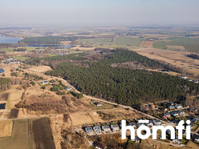 Lovely land, close to forest and lake, Cerekwica - Plot - Sale - Poznański, Rokietnica / Cerekwica