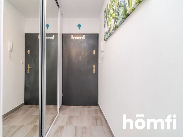 3-pokojowe mieszkanie na Kępie Mieszczańskiej - Mieszkanie - Wynajem - Wrocław, Śródmieście