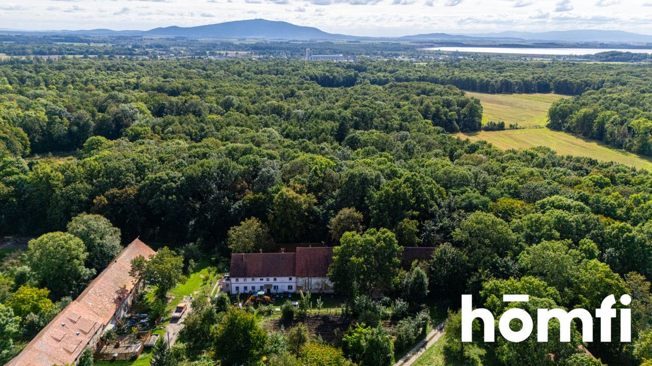 Działka pod lasem - dobry dojazd do Wrocławia - Działka - Sprzedaż - Wrocławski, Mietków / Wawrzeńczyce