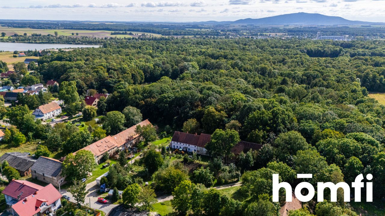 Działka pod lasem - dobry dojazd do Wrocławia - Działka - Sprzedaż - Wrocławski, Mietków / Wawrzeńczyce