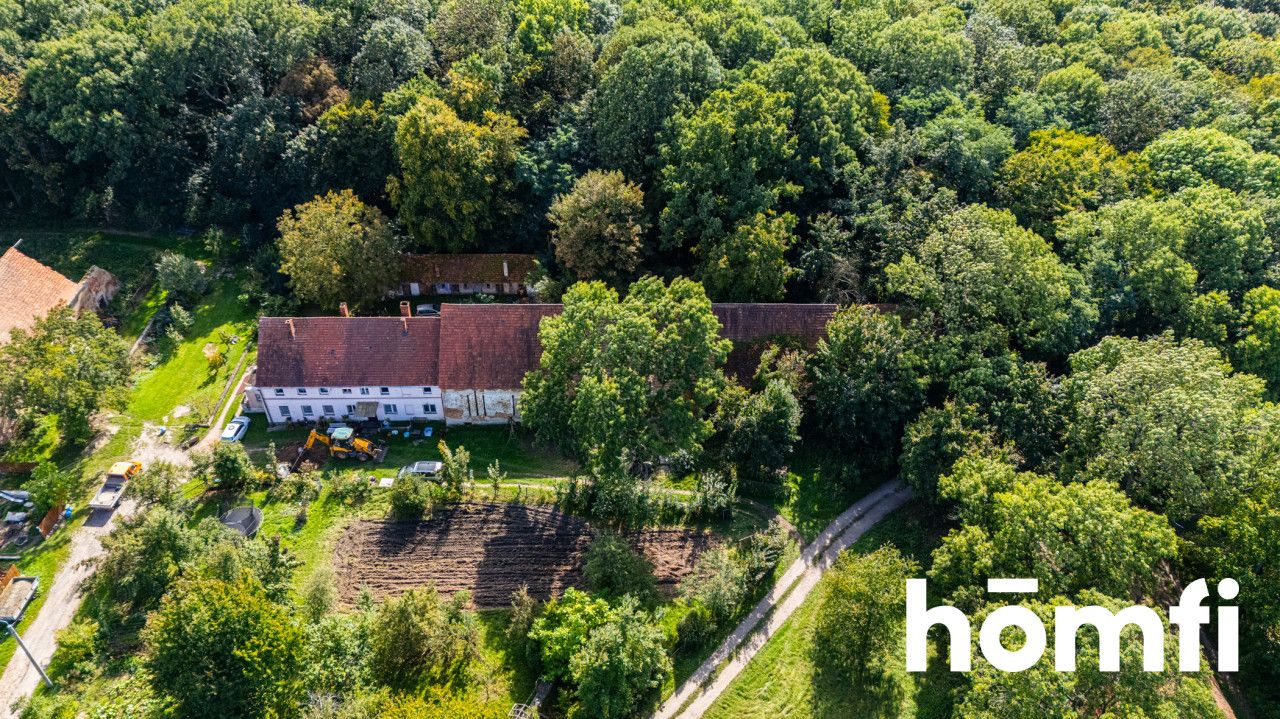 Działka pod lasem - dobry dojazd do Wrocławia - Działka - Sprzedaż - Wrocławski, Mietków / Wawrzeńczyce