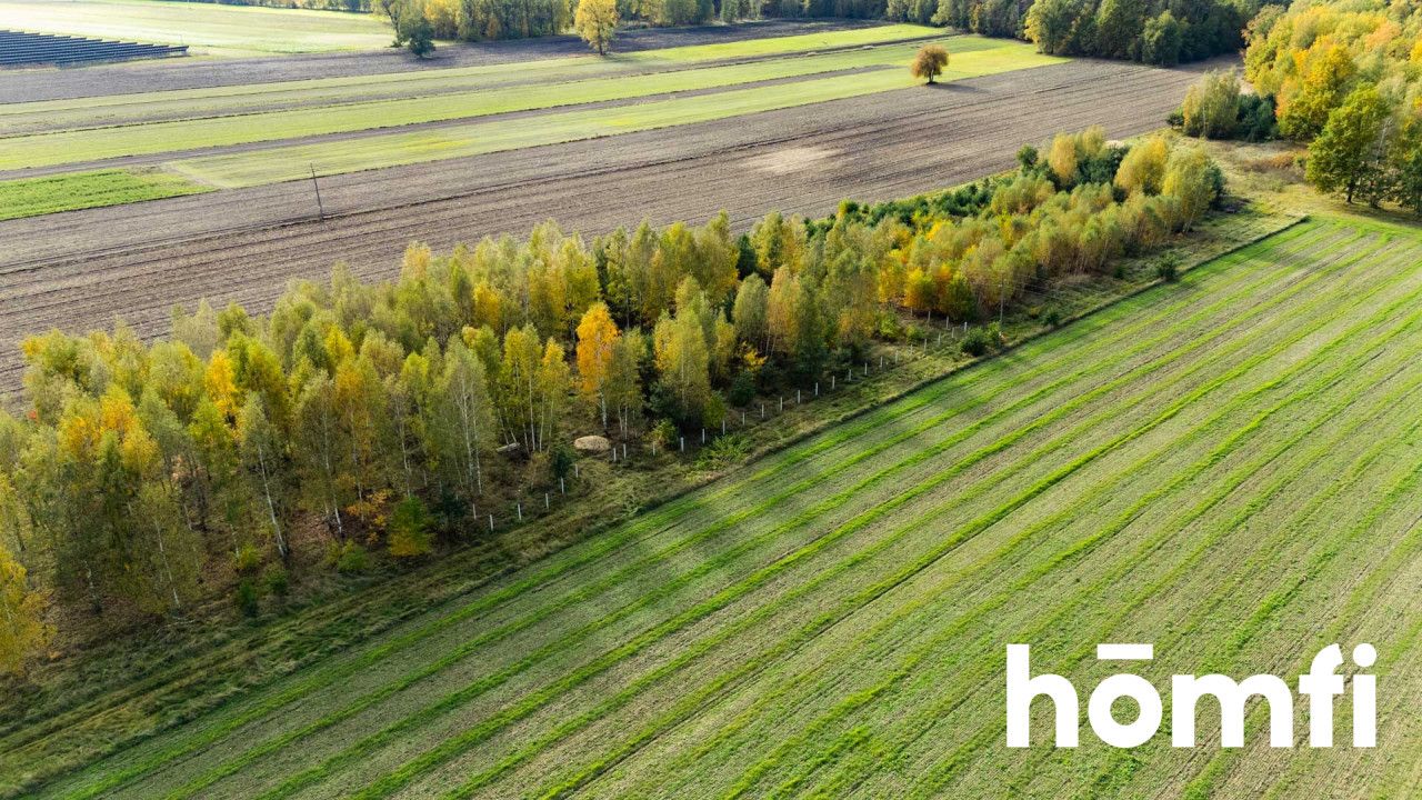 Piękne działki po 1000 m2 z WZ - gmina Jedlińsk - Działka - Sprzedaż - Radomski, Jedlińsk / Nowe Zawady