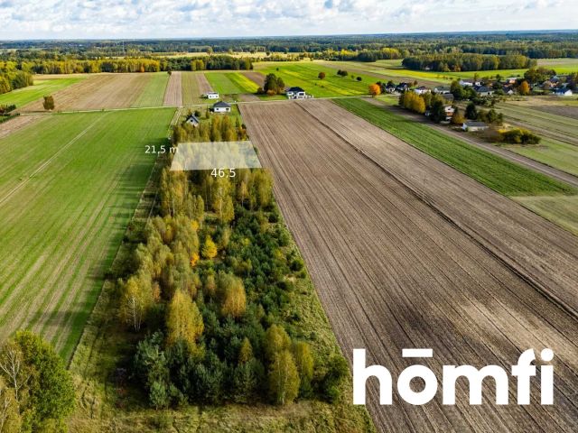 Piękne działki po 1000 m2 z WZ - gmina Jedlińsk - Działka - Sprzedaż - Radomski, Jedlińsk / Nowe Zawady