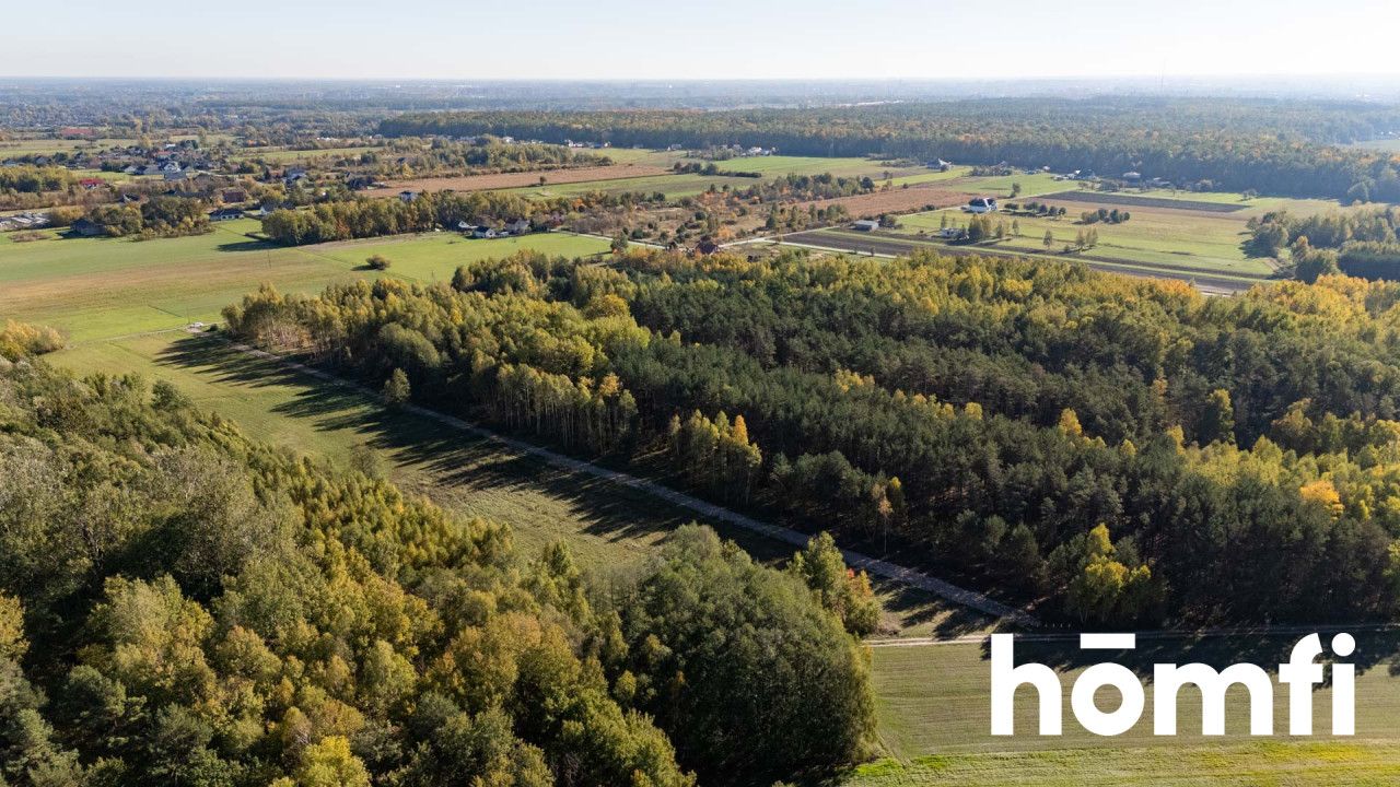 UROKLIWE DZIAŁKI BUDOWLANE DĄBRÓWKA NAGÓRNA - Działka - Sprzedaż - Radomski, Zakrzew / Dąbrówka Nagórna-Wieś
