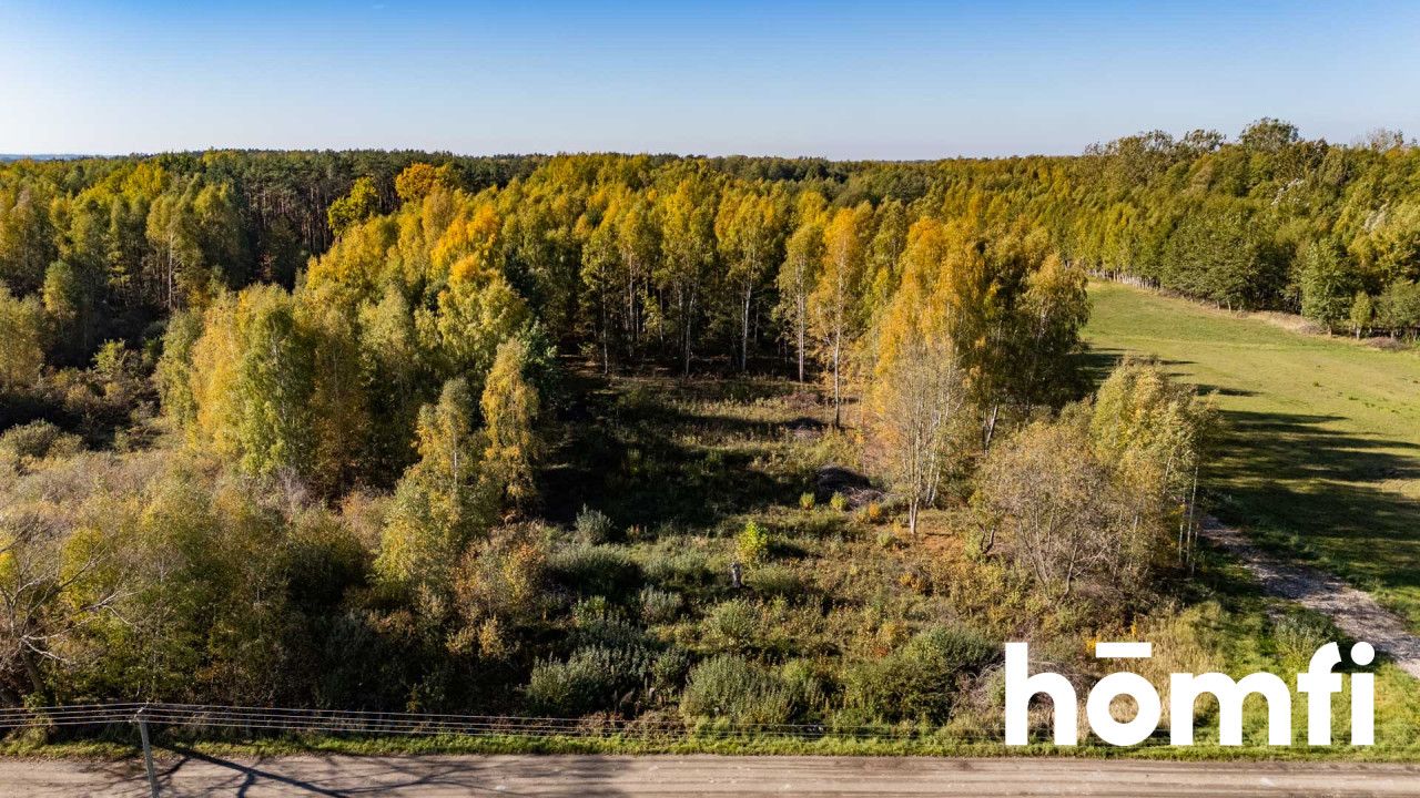 UROKLIWE DZIAŁKI BUDOWLANE DĄBRÓWKA NAGÓRNA - Działka - Sprzedaż - Radomski, Zakrzew / Dąbrówka Nagórna-Wieś