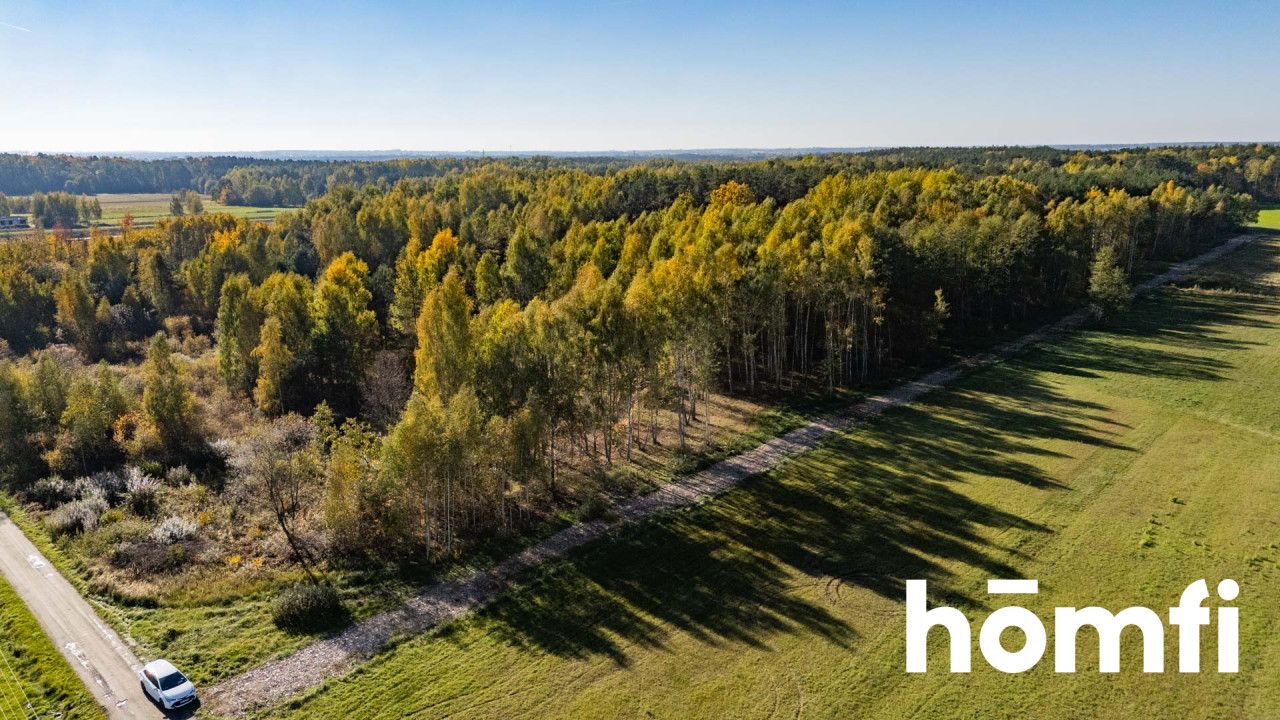 UROKLIWE DZIAŁKI BUDOWLANE DĄBRÓWKA NAGÓRNA - Działka - Sprzedaż - Radomski, Zakrzew / Dąbrówka Nagórna-Wieś