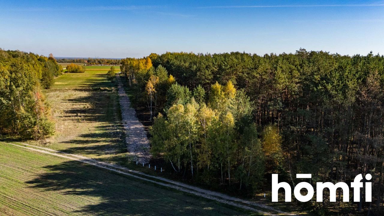 UROKLIWE DZIAŁKI BUDOWLANE DĄBRÓWKA NAGÓRNA - Działka - Sprzedaż - Radomski, Zakrzew / Dąbrówka Nagórna-Wieś