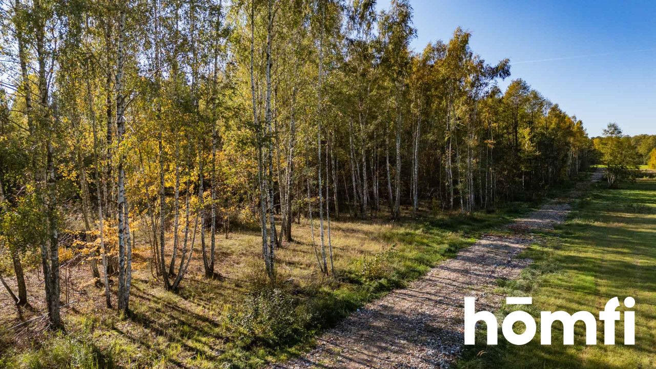 UROKLIWE DZIAŁKI BUDOWLANE DĄBRÓWKA NAGÓRNA - Działka - Sprzedaż - Radomski, Zakrzew / Dąbrówka Nagórna-Wieś