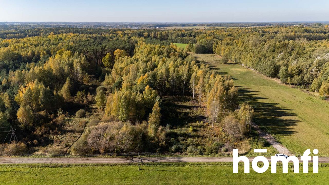 UROKLIWE DZIAŁKI BUDOWLANE DĄBRÓWKA NAGÓRNA - Działka - Sprzedaż - Radomski, Zakrzew / Dąbrówka Nagórna-Wieś