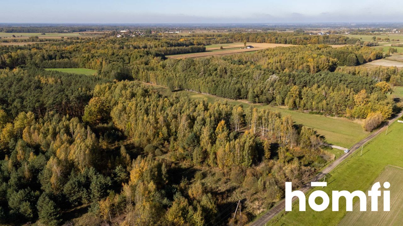 UROKLIWE DZIAŁKI BUDOWLANE DĄBRÓWKA NAGÓRNA - Działka - Sprzedaż - Radomski, Zakrzew / Dąbrówka Nagórna-Wieś