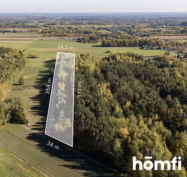 UROKLIWE DZIAŁKI BUDOWLANE DĄBRÓWKA NAGÓRNA - Działka - Sprzedaż - Radomski, Zakrzew / Dąbrówka Nagórna-Wieś