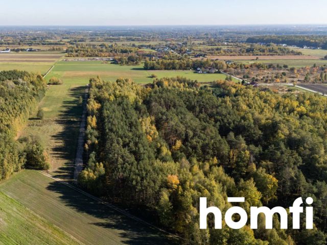 UROKLIWE DZIAŁKI BUDOWLANE DĄBRÓWKA NAGÓRNA - Działka - Sprzedaż - Radomski, Zakrzew / Dąbrówka Nagórna-Wieś