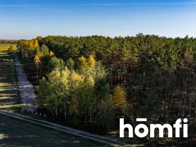 CHARMING BUILDING PLOTS IN DĄBRÓWKA NAGÓRNA - Ділянка - Продаж - Radomski, Zakrzew / Dąbrówka Nagórna-Wieś