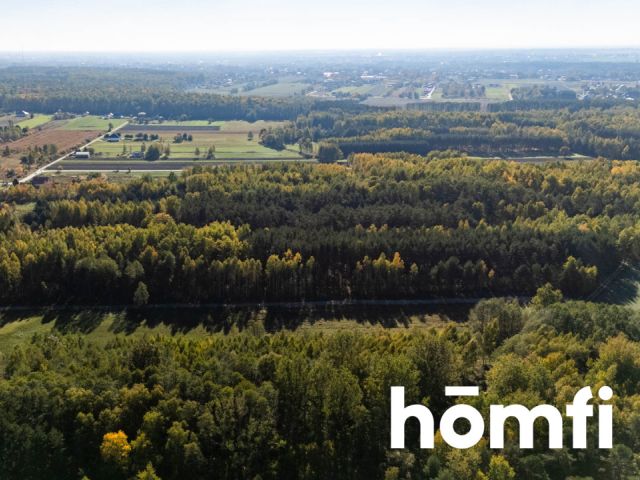 UROKLIWE DZIAŁKI BUDOWLANE DĄBRÓWKA NAGÓRNA - Działka - Sprzedaż - Radomski, Zakrzew / Dąbrówka Nagórna-Wieś