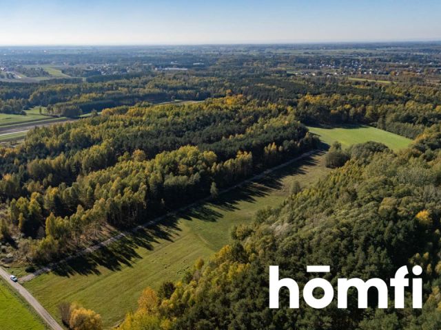 UROKLIWE DZIAŁKI BUDOWLANE DĄBRÓWKA NAGÓRNA - Działka - Sprzedaż - Radomski, Zakrzew / Dąbrówka Nagórna-Wieś