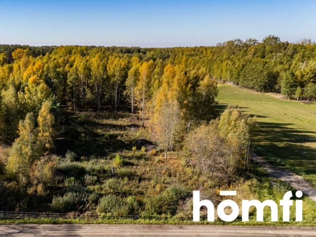 UROKLIWE DZIAŁKI BUDOWLANE DĄBRÓWKA NAGÓRNA - Działka - Sprzedaż - Radomski, Zakrzew / Dąbrówka Nagórna-Wieś