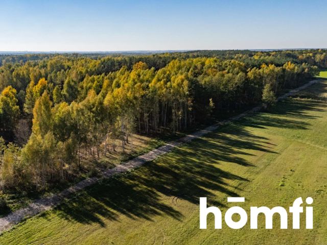 UROKLIWE DZIAŁKI BUDOWLANE DĄBRÓWKA NAGÓRNA - Działka - Sprzedaż - Radomski, Zakrzew / Dąbrówka Nagórna-Wieś