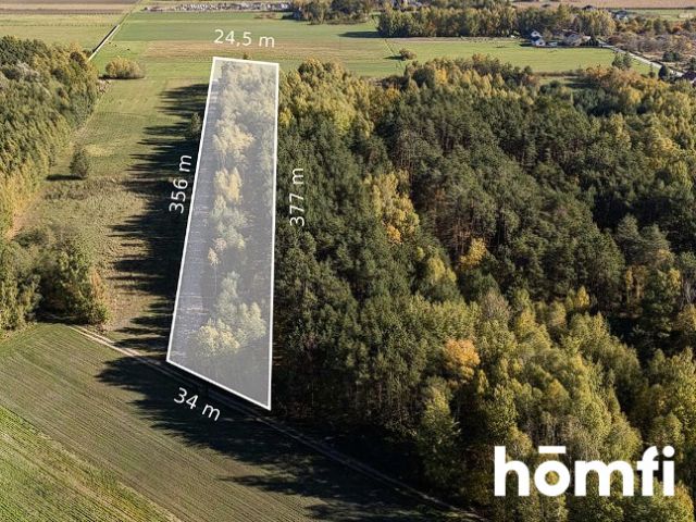 UROKLIWE DZIAŁKI BUDOWLANE DĄBRÓWKA NAGÓRNA - Działka - Sprzedaż - Radomski, Zakrzew / Dąbrówka Nagórna-Wieś