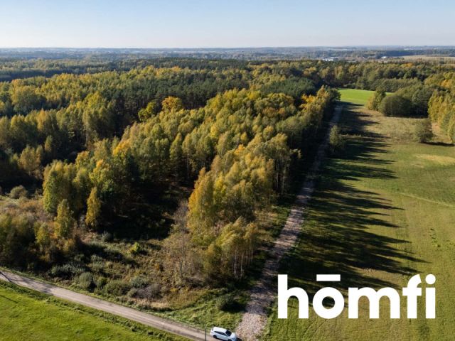 UROKLIWE DZIAŁKI BUDOWLANE DĄBRÓWKA NAGÓRNA - Działka - Sprzedaż - Radomski, Zakrzew / Dąbrówka Nagórna-Wieś