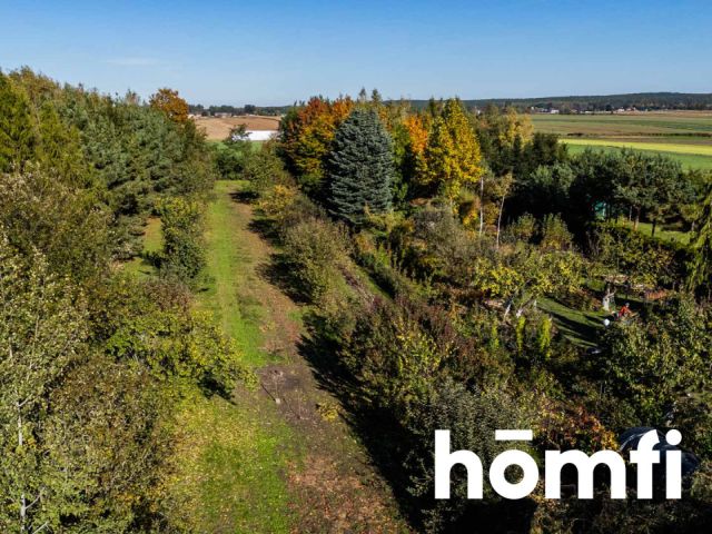 PRZESTRONNY DOM JEDNORODZINNY Z DUŻĄ DZIAŁKĄ - Dom - Sprzedaż - Radomski, Wierzbica / Zalesice-Kolonia