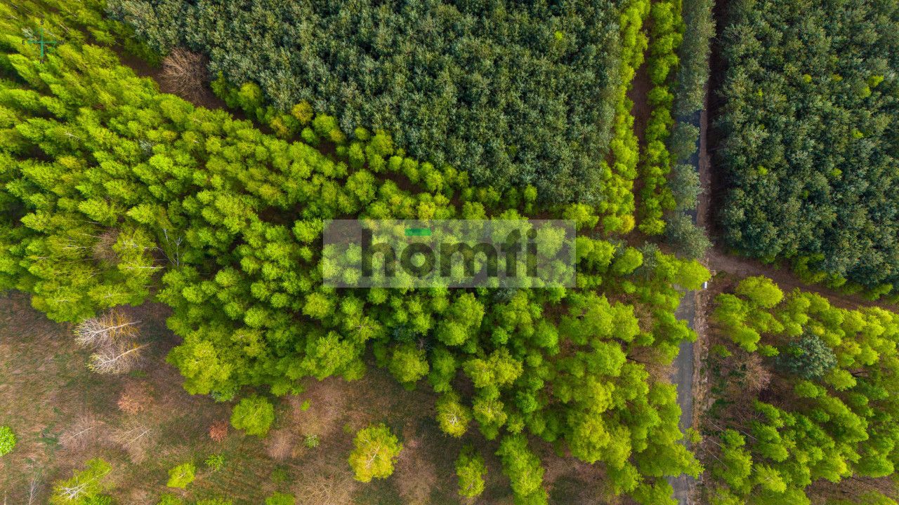 Duża działka z potencjałem, cisza i spokój-Jaźwiny - Działka - Sprzedaż - Trzebnicki, Trzebnica / Jaźwiny