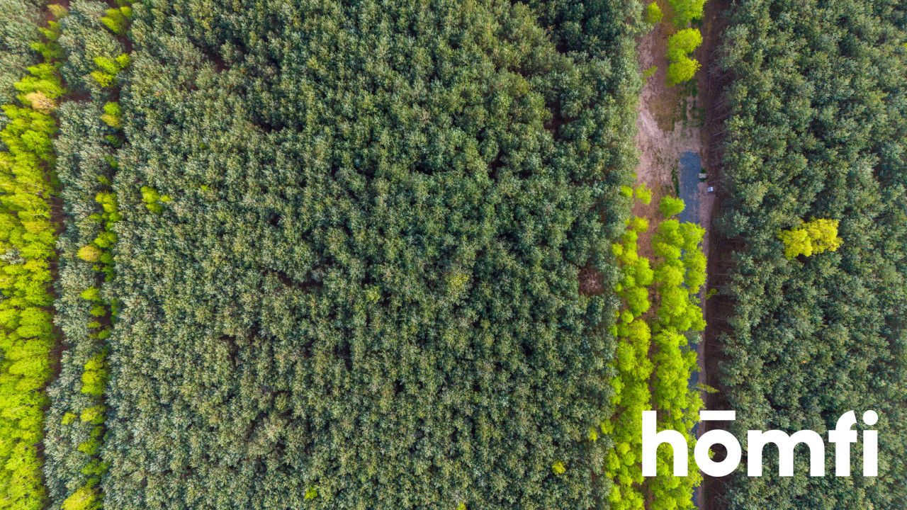 Duża działka z potencjałem, cisza i spokój-Jaźwiny - Działka - Sprzedaż - Trzebnicki, Trzebnica / Jaźwiny