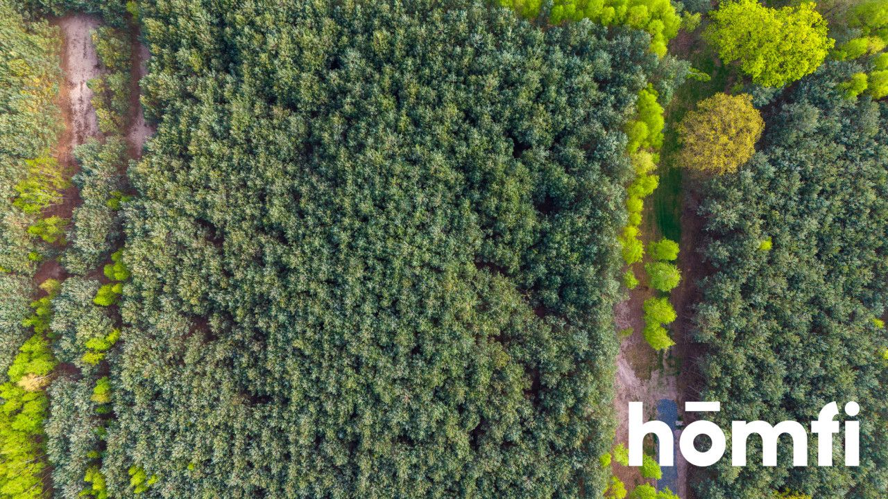 Duża działka z potencjałem, cisza i spokój-Jaźwiny - Działka - Sprzedaż - Trzebnicki, Trzebnica / Jaźwiny