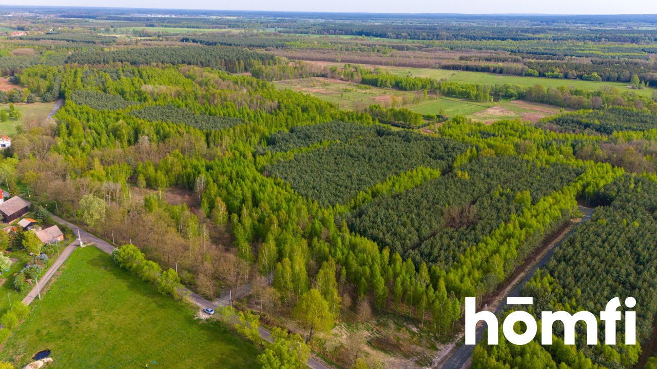 Duża działka z potencjałem, cisza i spokój-Jaźwiny - Działka - Sprzedaż - Trzebnicki, Trzebnica / Jaźwiny