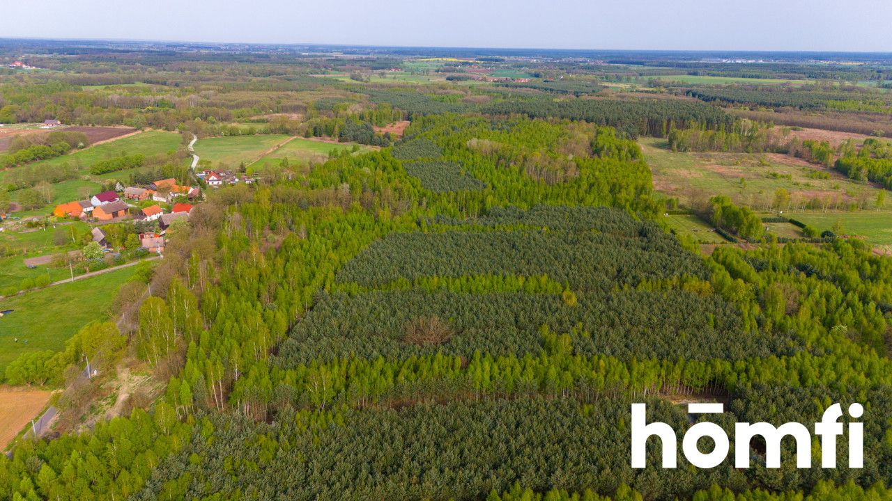 Duża działka z potencjałem, cisza i spokój-Jaźwiny - Działka - Sprzedaż - Trzebnicki, Trzebnica / Jaźwiny