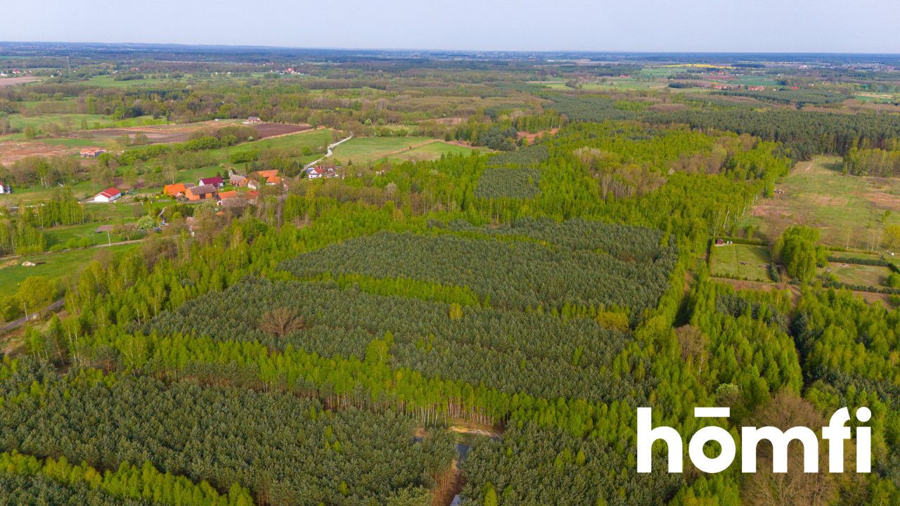 Duża działka z potencjałem, cisza i spokój-Jaźwiny - Działka - Sprzedaż - Trzebnicki, Trzebnica / Jaźwiny