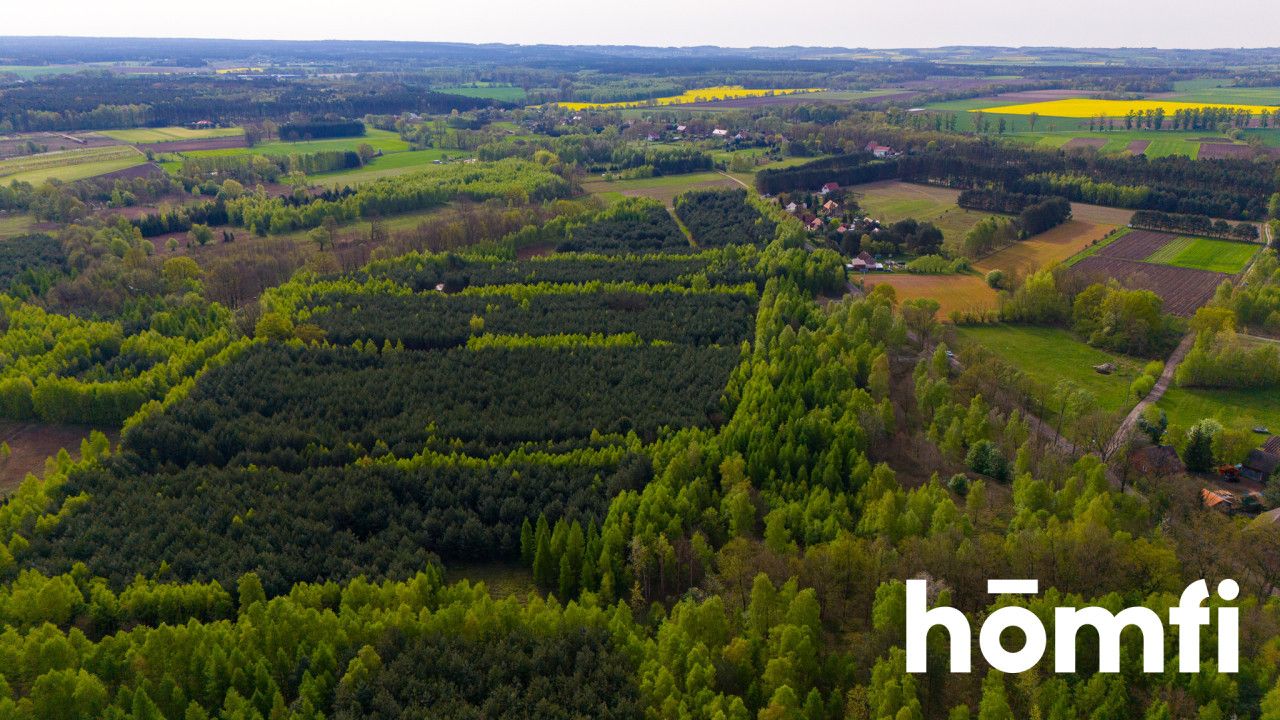 Duża działka z potencjałem, cisza i spokój-Jaźwiny - Działka - Sprzedaż - Trzebnicki, Trzebnica / Jaźwiny