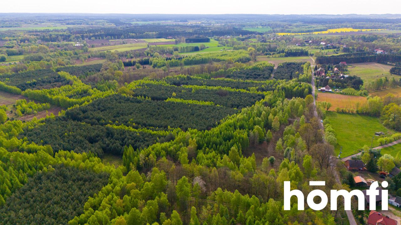 Duża działka z potencjałem, cisza i spokój-Jaźwiny - Działka - Sprzedaż - Trzebnicki, Trzebnica / Jaźwiny