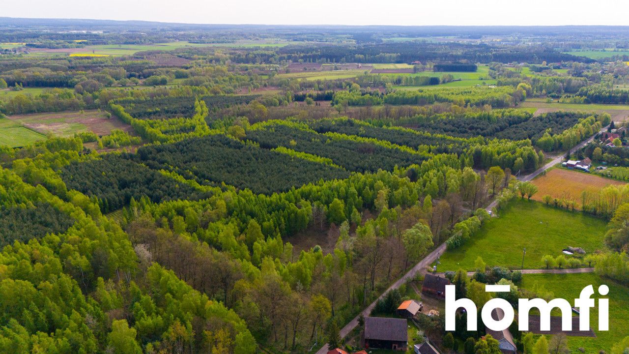 Duża działka z potencjałem, cisza i spokój-Jaźwiny - Działka - Sprzedaż - Trzebnicki, Trzebnica / Jaźwiny
