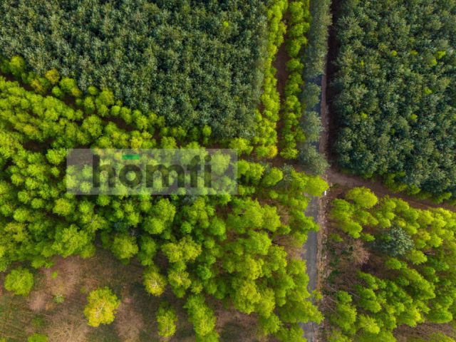 Duża działka z potencjałem, cisza i spokój-Jaźwiny - Działka - Sprzedaż - Trzebnicki, Trzebnica / Jaźwiny