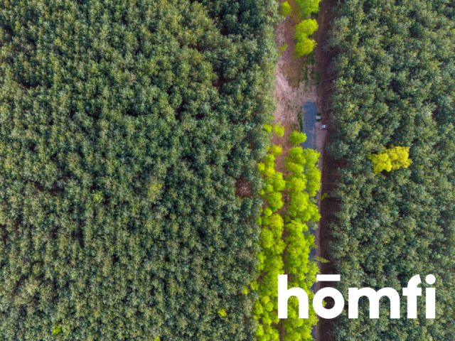 Duża działka z potencjałem, cisza i spokój-Jaźwiny - Działka - Sprzedaż - Trzebnicki, Trzebnica / Jaźwiny