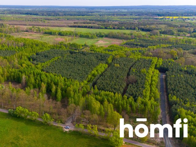 Duża działka z potencjałem, cisza i spokój-Jaźwiny - Działka - Sprzedaż - Trzebnicki, Trzebnica / Jaźwiny