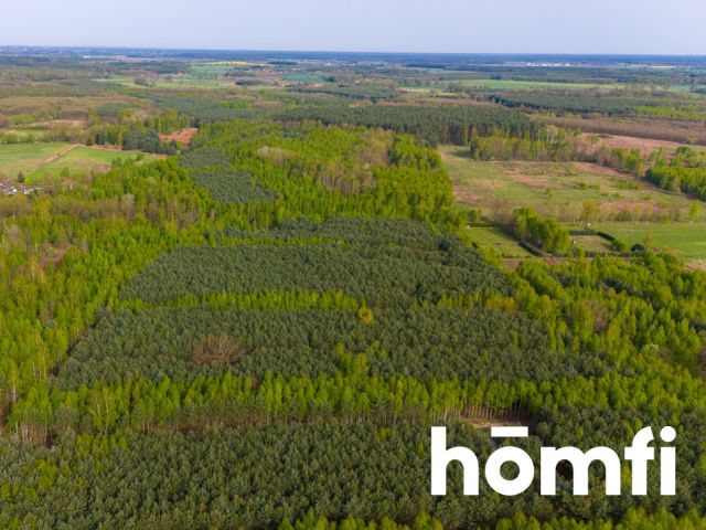 Duża działka z potencjałem, cisza i spokój-Jaźwiny - Działka - Sprzedaż - Trzebnicki, Trzebnica / Jaźwiny