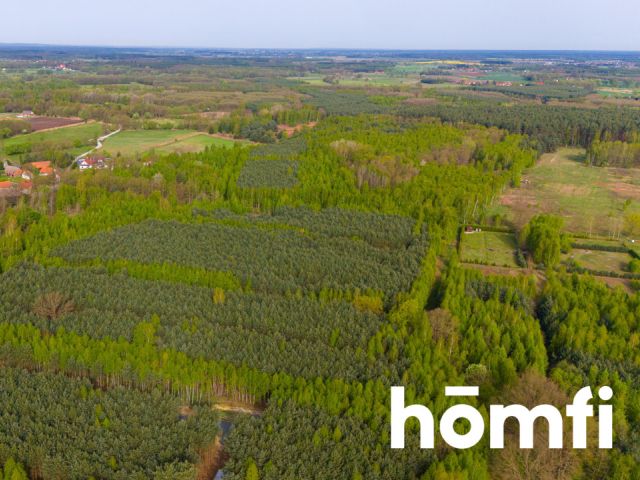 Duża działka z potencjałem, cisza i spokój-Jaźwiny - Działka - Sprzedaż - Trzebnicki, Trzebnica / Jaźwiny