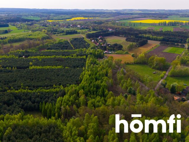 Duża działka z potencjałem, cisza i spokój-Jaźwiny - Działka - Sprzedaż - Trzebnicki, Trzebnica / Jaźwiny