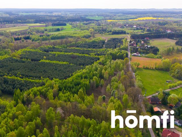 Duża działka z potencjałem, cisza i spokój-Jaźwiny - Działka - Sprzedaż - Trzebnicki, Trzebnica / Jaźwiny